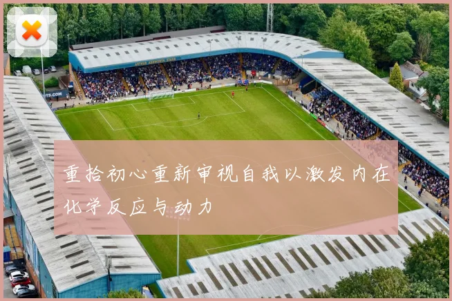 重拾初心重新审视自我以激发内在化学反应与动力
