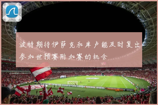 波特期待伊萨克和库卢能及时复出参加世预赛附加赛的机会